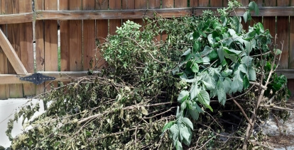 Déchèterie déchets verts Vitrolles